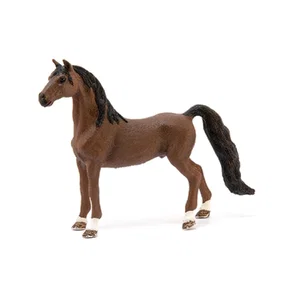 American Saddlebred Gelding