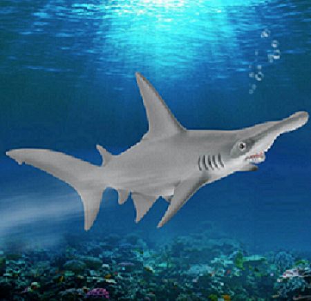 662-0478 Product Image 5