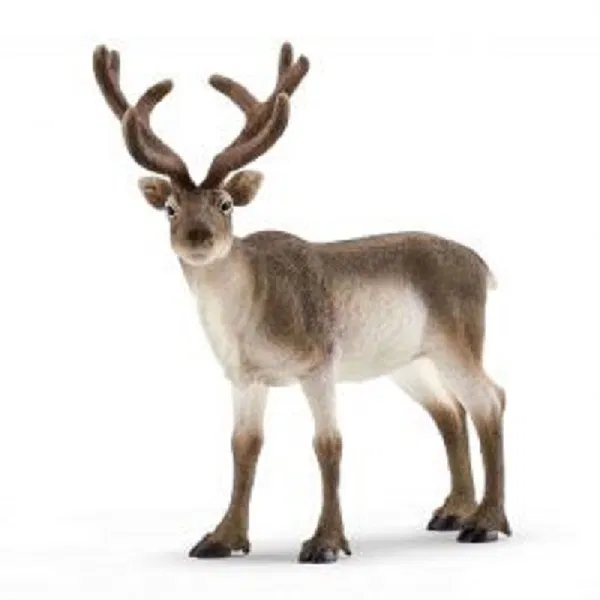 662-0480 Product Image 1