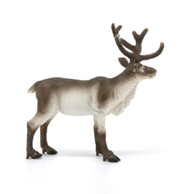 662-0480 Product Image 2