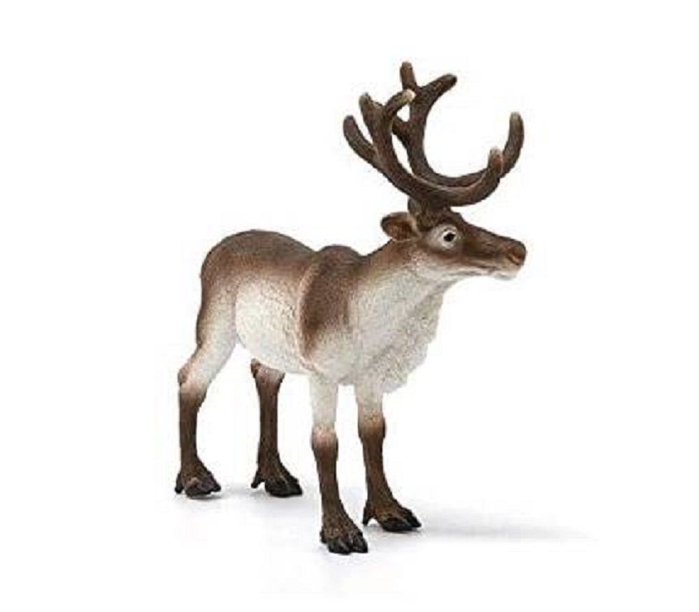 662-0480 Product Image 5