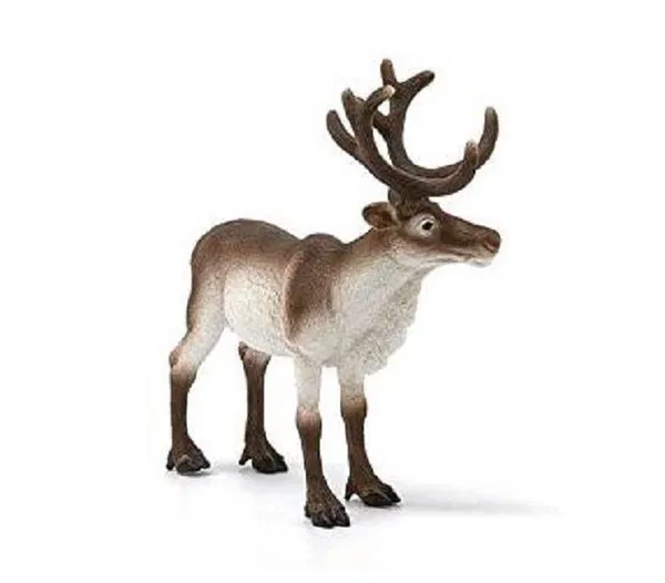 662-0480 Product Image 5