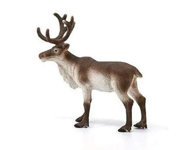 662-0480 Product Image 6