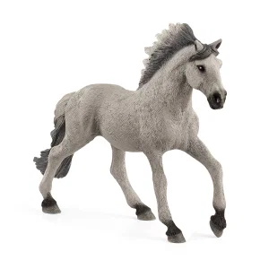 Sorraria Mustang Stallion