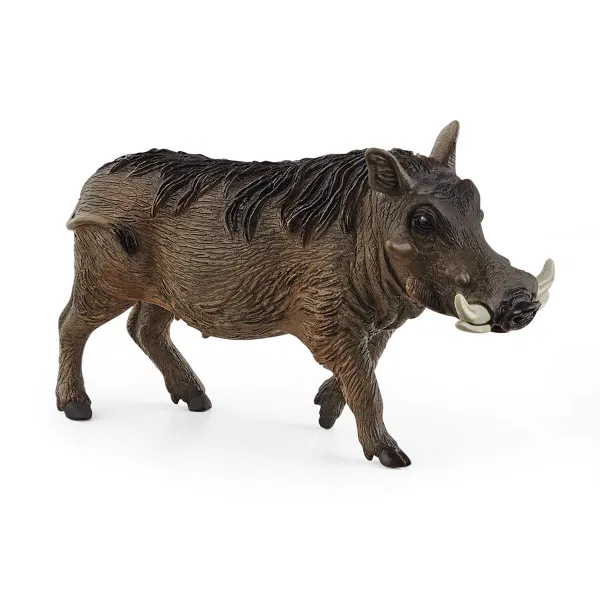 662-0505 Product Image 1