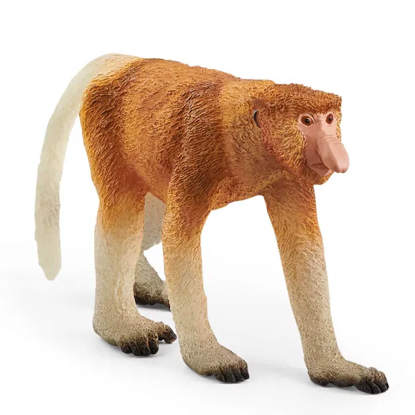 662-0507 Product Image 1