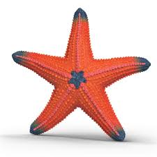 Starfish (Colour Change)