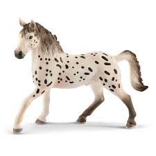 Knabstrupper Mare