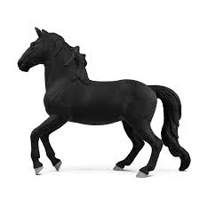 Lusitano Stallion