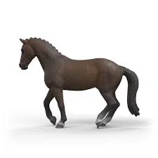 Kwpn Gelding