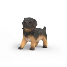German Shepherd Puppy