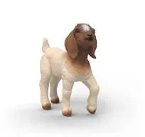 662-1017 Product Image 1