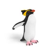 Rockhopper Penguin