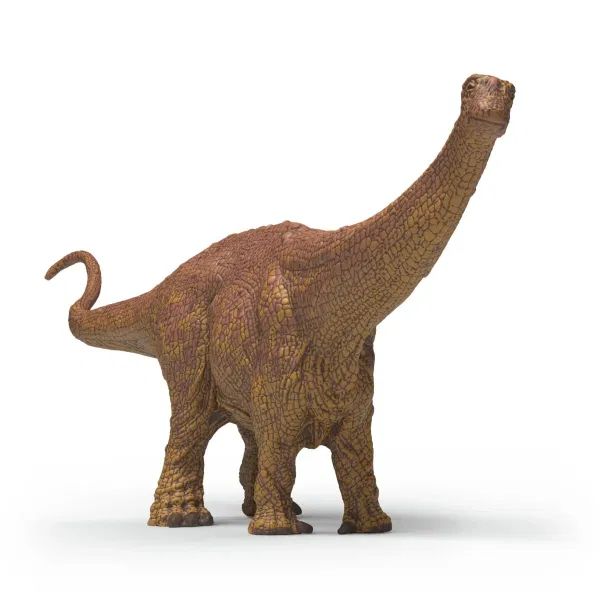662-1030 Product Image 2