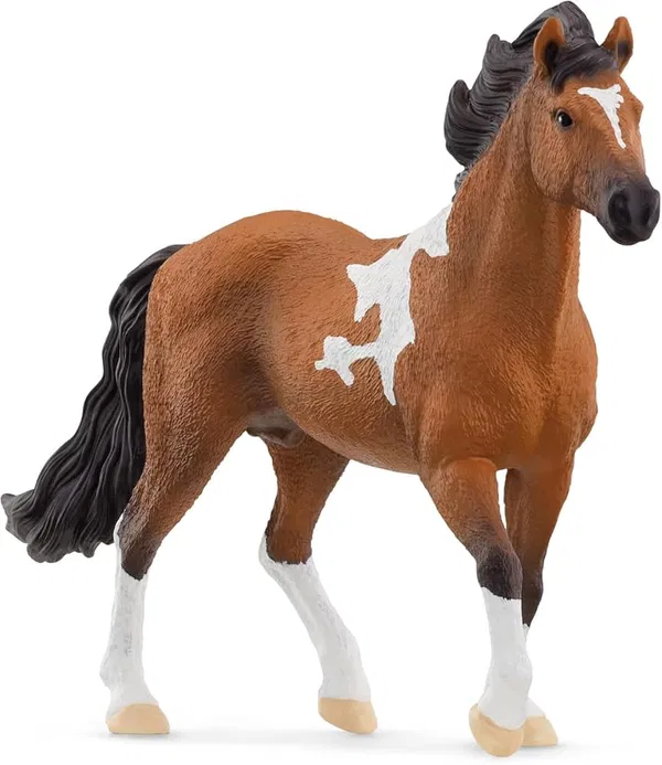 662-1037 Product Image 1