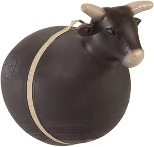 Bouncy Bull