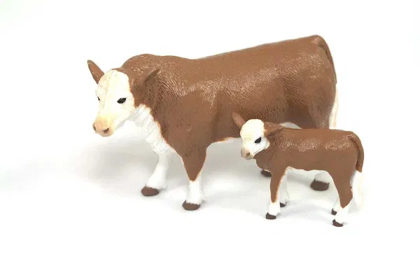 663-0618 Product Image 1