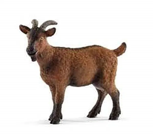663-0725 Product Image 2