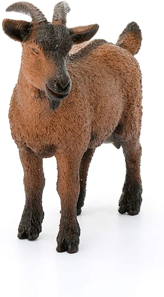 663-0725 Product Image 4