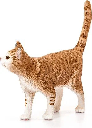 Cat Standing Orange