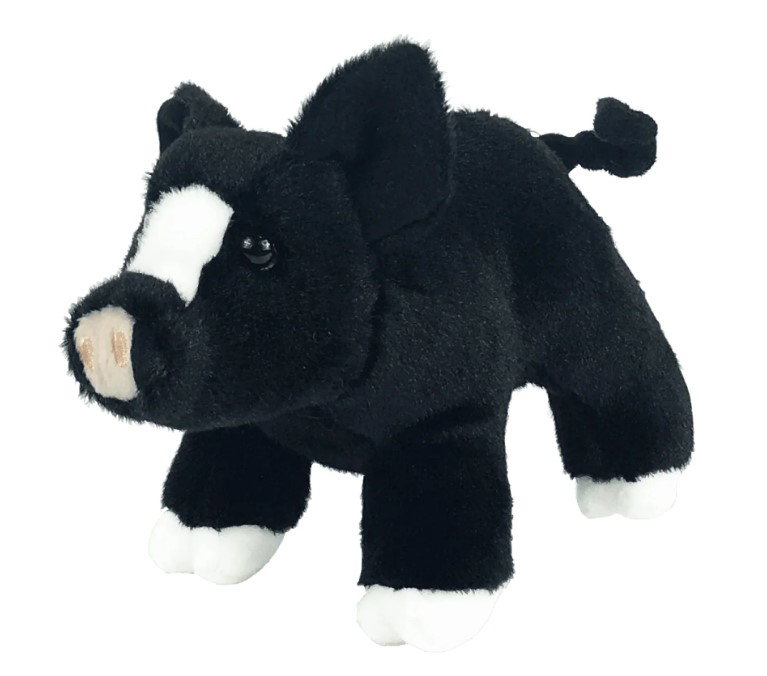 Image of 7′ Timmy the Pig