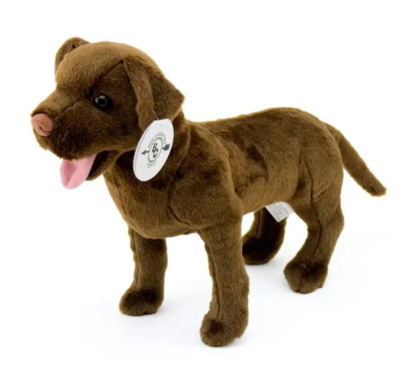 663-1020 Product Image 1