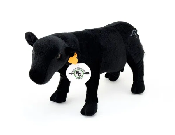 663-1022 Product Image 1