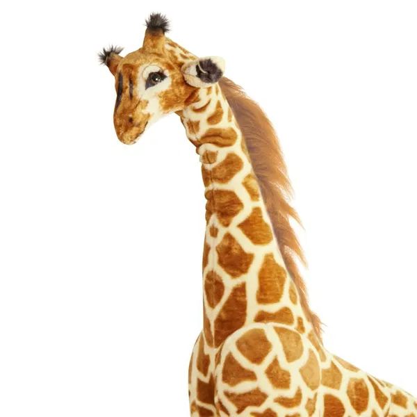 665-0196 Product Image 4