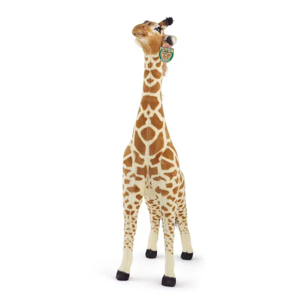 665-0196 Product Image 5