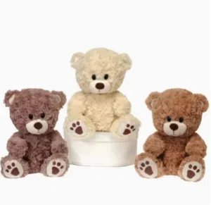 9.5in 3 Asst. Sitting Paw Print Bears