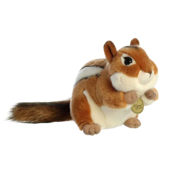 665-0242 Product Image 1