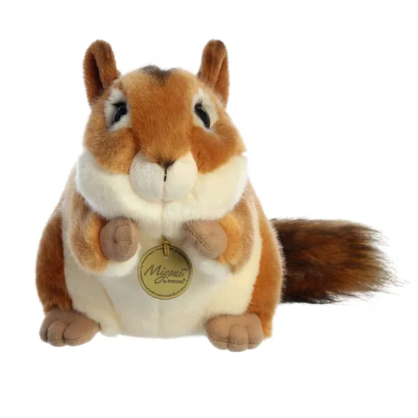 665-0242 Product Image 2
