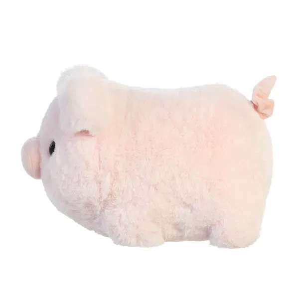 665-0243 Product Image 4
