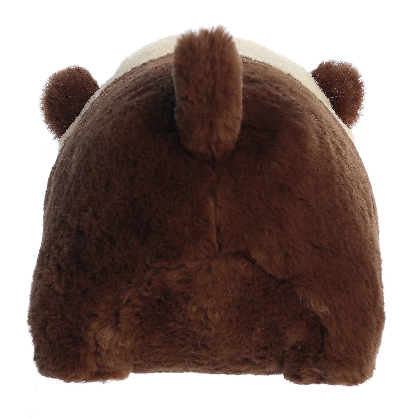 665-0244 Product Image 4