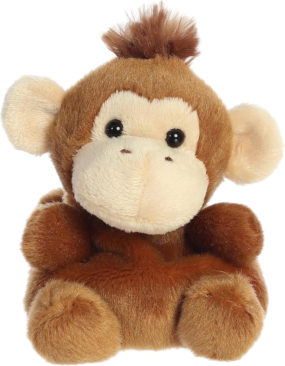 5" Boomer Monkey Palm Pals